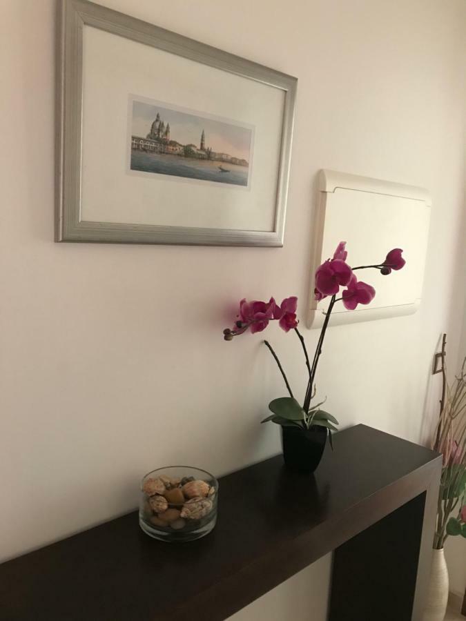 Apartamento Praia Сао Мартино до Порто Екстериор снимка