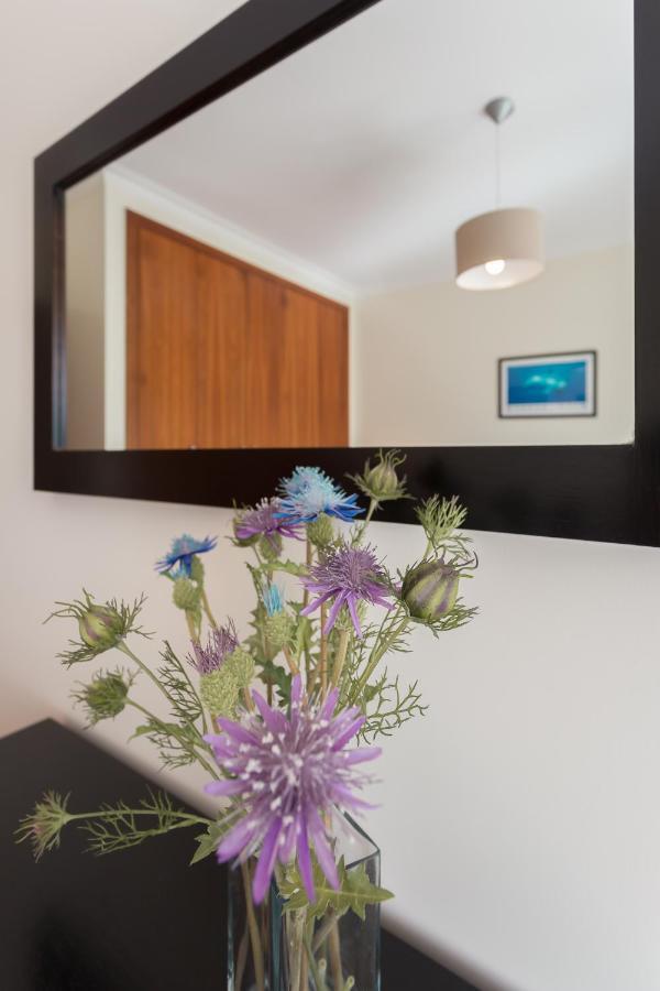 Apartamento Praia Сао Мартино до Порто Екстериор снимка
